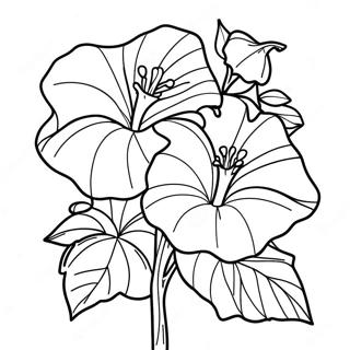 Beautiful Morning Glory Vine Coloring Page 67893-56007