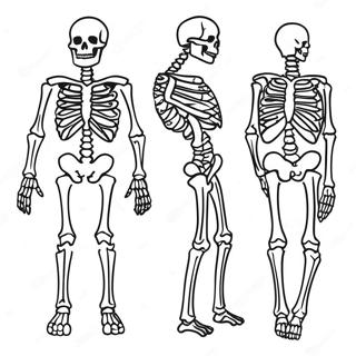 Label The Skeleton Coloring Page 67952-56050