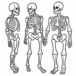 Label The Skeleton Coloring Page 67952-56052