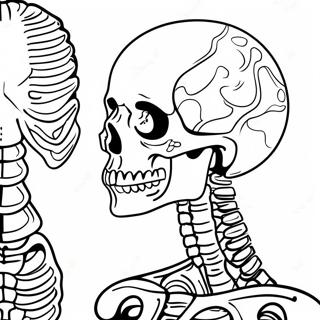 Interactive Skeleton Anatomy Coloring Page 67953-56046