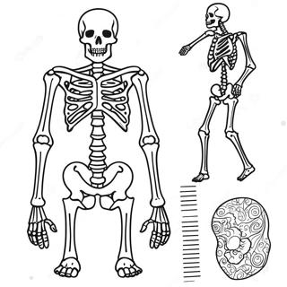 Interactive Skeleton Anatomy Coloring Page 67953-56047