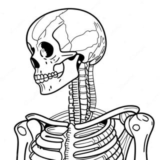 Interactive Skeleton Anatomy Coloring Page 67953-56048