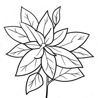 Poinsettia Flower Coloring Page 68322-56344