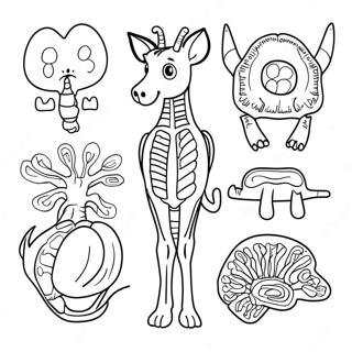 Animal Anatomy Coloring Page 69243-57062