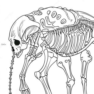 Detailed Animal Skeleton Coloring Page 69244-57065