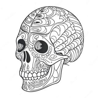 Detailed Animal Skeleton Coloring Page 69244-57066