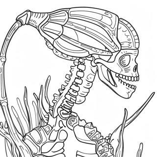 Detailed Animal Skeleton Coloring Page 69244-57067