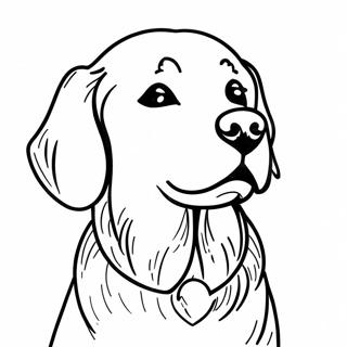 Golden Retriever Coloring Page 701-558