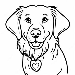 Golden Retriever Coloring Page 701-559