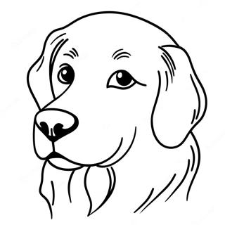 Golden Retriever Coloring Page 701-560