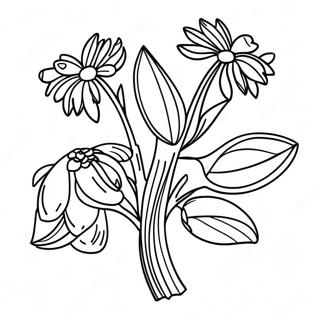 Preschool Seed Coloring Page 70383-58190