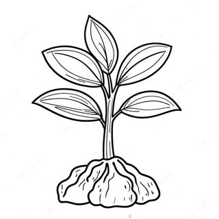 Colorful Seedling Growing Coloring Page 70384-58194