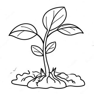 Colorful Seedling Growing Coloring Page 70384-58195