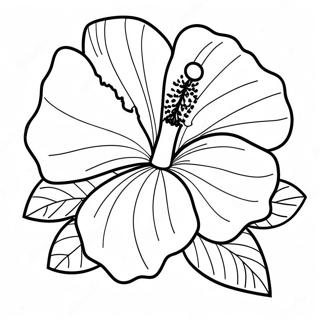 Hibiscus Flower Coloring Page 7044-5730