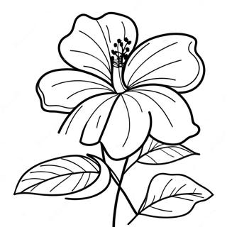 Hibiscus Flower Coloring Page 7044-5731