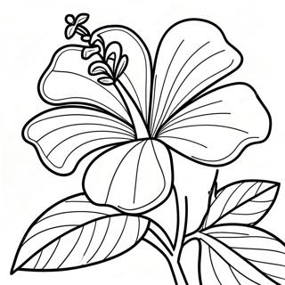 Hibiscus Flower Coloring Page 7044-5732