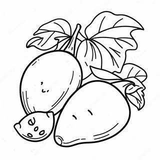 Sweet Potato Coloring Pages