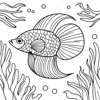 Betta Fish Swimming In Coral Reef Coloring Page 71043-58718