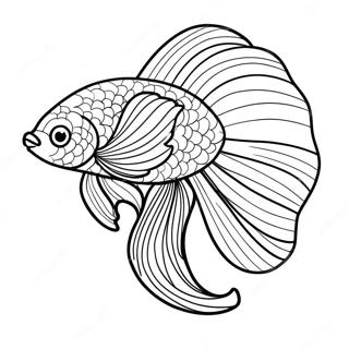 Colorful Betta Fish With Flowing Fins Coloring Page 71044-58721