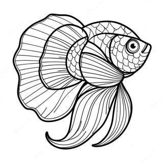 Colorful Betta Fish With Flowing Fins Coloring Page 71044-58723