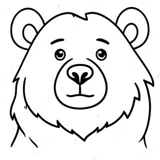 Realistic Bear Coloring Page 7114-5786