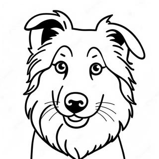 Collie Dog Coloring Page 72073-59542