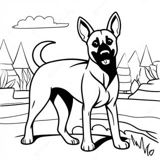 Playful Belgian Malinois Coloring Page 72875-60171