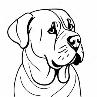 English Mastiff Coloring Pages