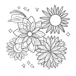 Colorful Firework Display Coloring Page 7795-6335