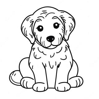 Goldendoodle Puppy Coloring Page 7934-6444