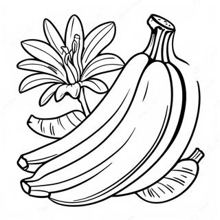 Banana Coloring Pages