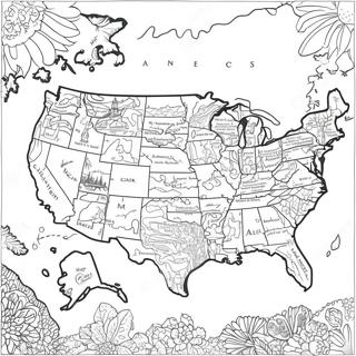 Detailed Usa Map Coloring Page 8075-6559