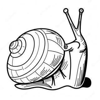 Snail Coloring Page 8565-7014