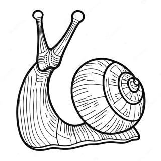 Snail Coloring Page 8565-7015