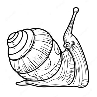 Snail Coloring Page 8565-7016