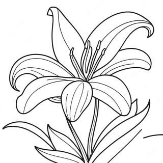 Lily Flower Coloring Page 8726-7134