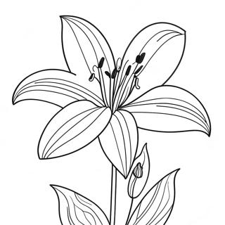 Lily Flower Coloring Page 8726-7135