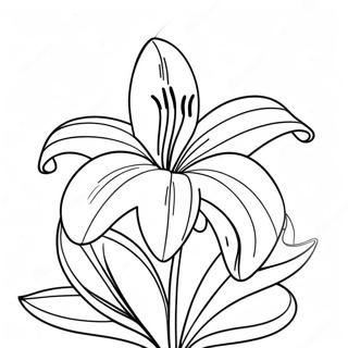 Beautiful Lily Flower Coloring Page 8727-7137