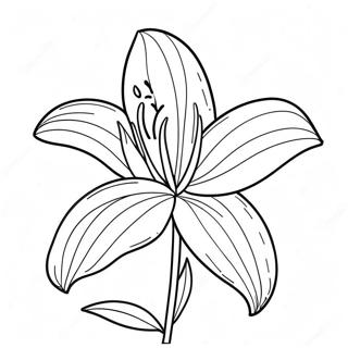 Beautiful Lily Flower Coloring Page 8727-7138