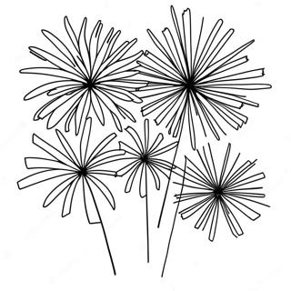 Fireworks Coloring Page 9256-7559