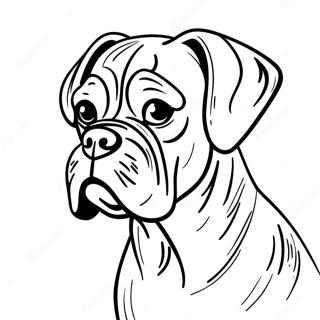 Boxer Dog Coloring Pages