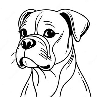 Boxer Dog Coloring Page 9746-7956