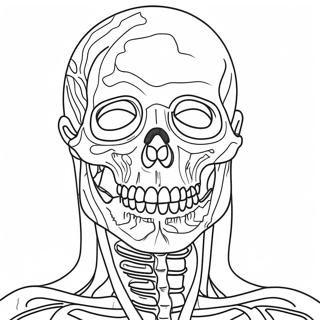 Anatomy Coloring Page 981-784