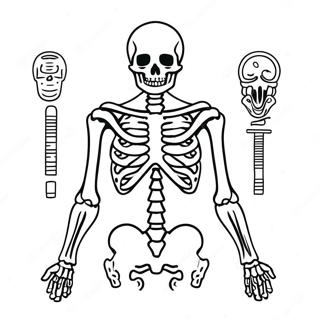 Human Skeleton Anatomy Coloring Page 982-786